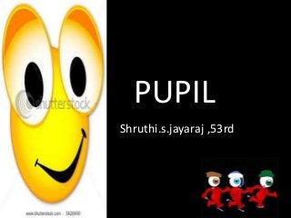 Pupil - SSJ,CALICUT MEDICAL COLLEGE