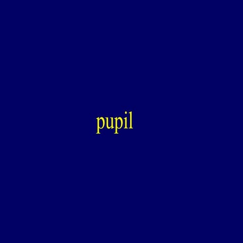 Pupil  ppt