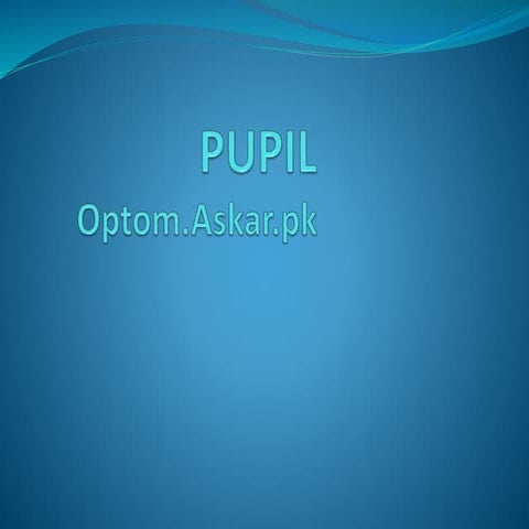 Pupil  anatomy and physiology