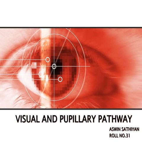Pupillary and visual pathway | PPTX