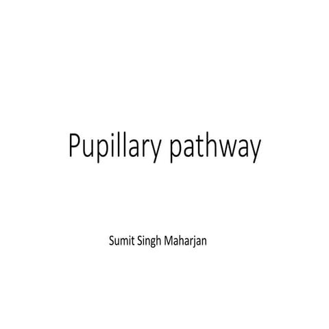 Pupillary pathway