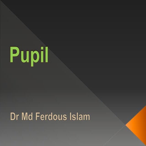 Pupil dr ferdous   