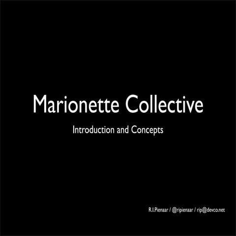 R.I. Pienaar - Puppet Camp 2010