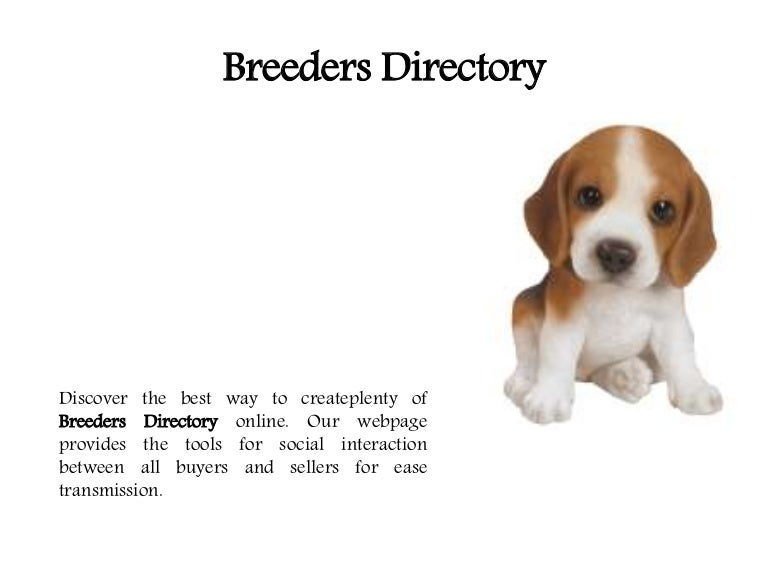 best places to buy puppies near me