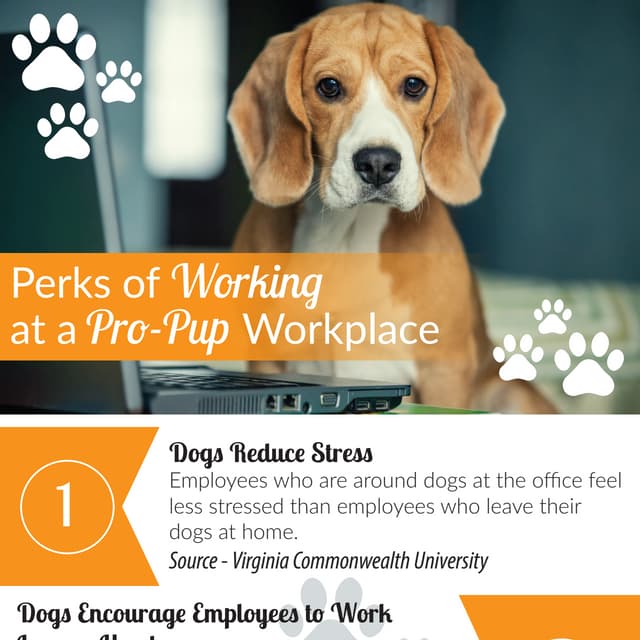 Perks of Working at a Pro-Pup Workplace