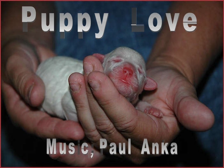 Puppy Love