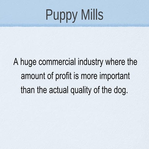 Say No to Puppy Mills