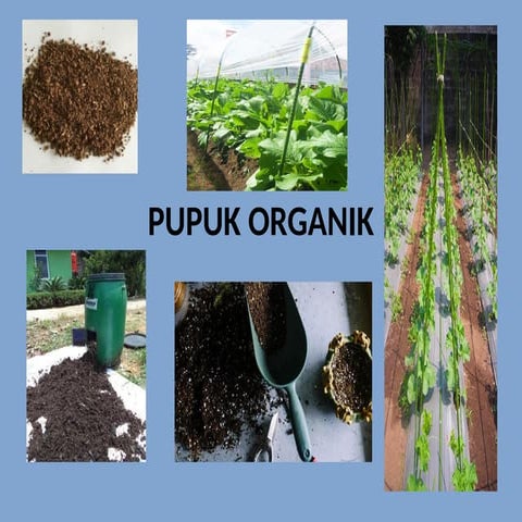 CARA MUDAH MEMBUAT PUPUK ORGANIK DARI LIMBAH SEKITAR KITA.pptx