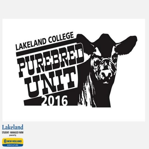 Purebred SMF Team Final Presentation April 2017