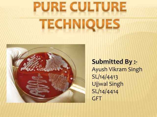 Pure culture techniques