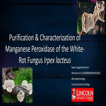Purification and Characterization of Manganese Peroxidase of the White