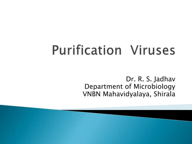 Purification of viruses