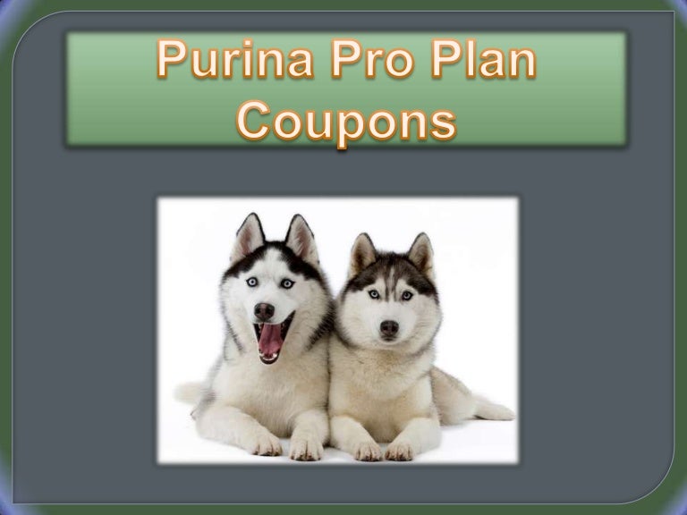 purina pro plan large breed puppy coupons