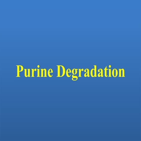 Purine degradation