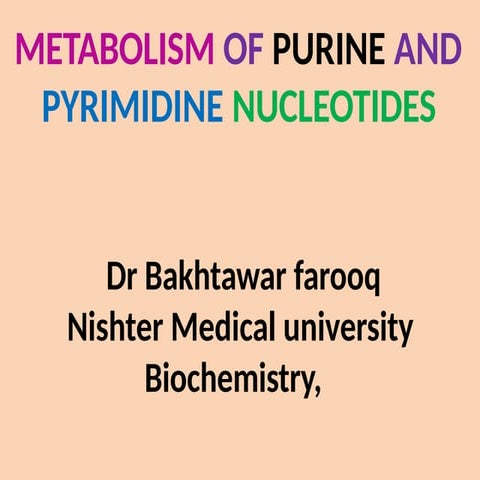 Purine nuecleotide