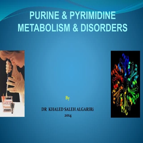 Purine & pyrimidine metabolism and disorders