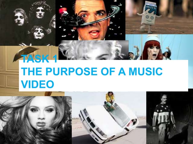 Purpose and director case study1