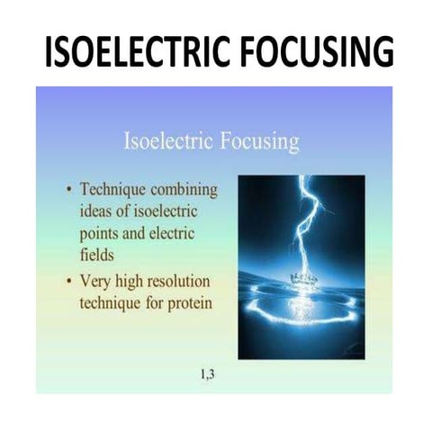 ISOELECTRIC FOCUSING PPT - SLIDE SHARE