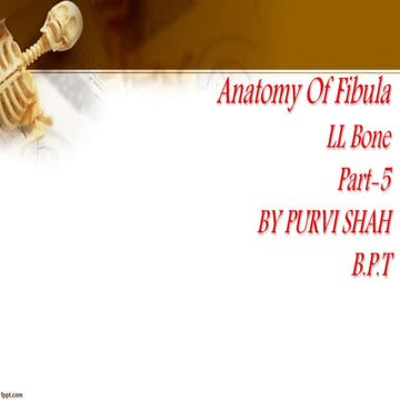 Purvi shah anatomy of fibula ppt