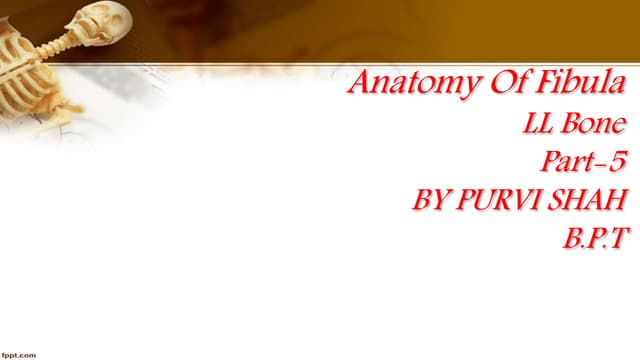Anatomy and physiology of tibia and fibula tibia | DOC