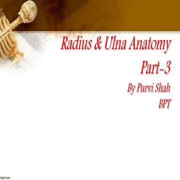 Purvi shah radius & ulna anatomy ppt