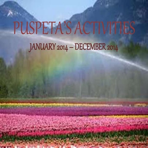 Puspeta’s  activities