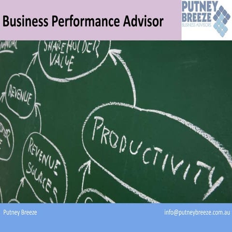 Putney Breeze Business Advisory Portfolio