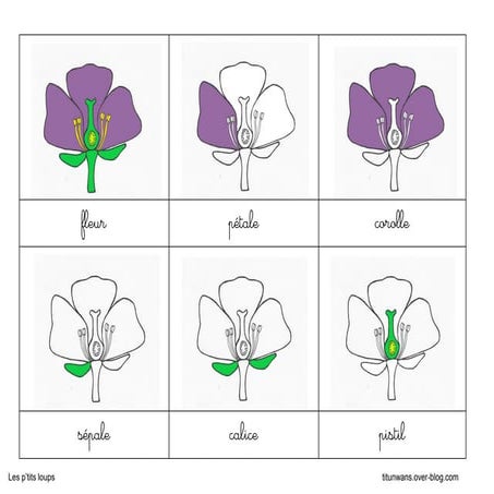 puzzle fleur.pdf