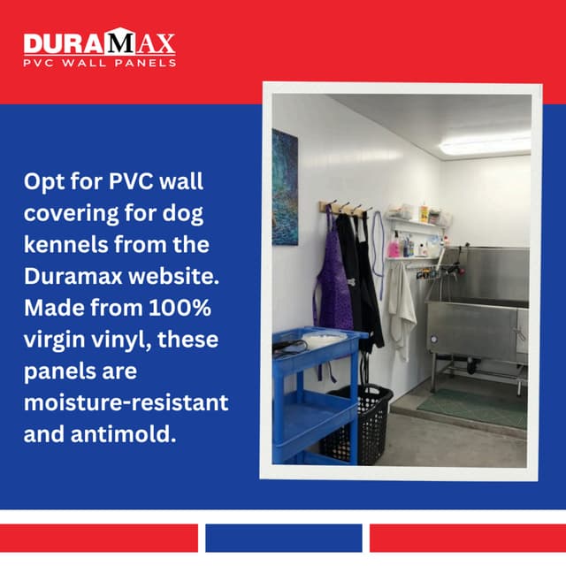 PVC-Wall-Covering-For-Dog-Kennels-Ensure-Hygiene-And-Safety.pdf
