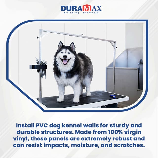 PVC Wall Coverings for Dog Kennels – Durable, Low Maintenance & Easy to ...