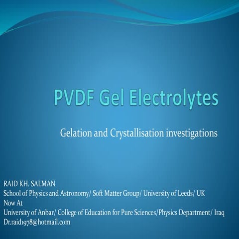 Pvdf polymer gel electrolytes