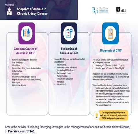 Exploring Emerging Strategies in the Management of Anemia in Chronic ...