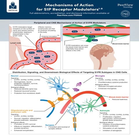 Exploring the Convergence of Advances in S1P Receptor Modulation With Progres...
