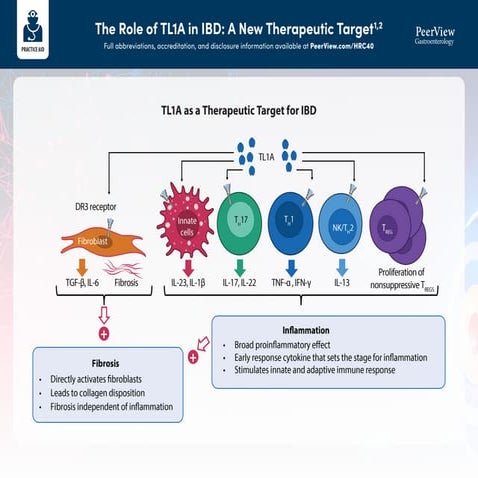At the Crossroads of Inflammation and Fibrosis in Inflammatory Bowel ...