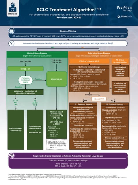 Achieving Optimal SCLC Care With Established and Innovative Therapies: Latest Evidence, Key Ongoing Trials, and Practical Considerations for Real-World Practice