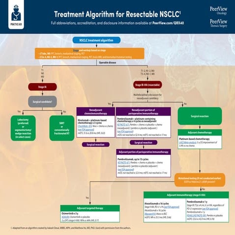 A Practical Guide for Making Multidisciplinary Decisions About ...