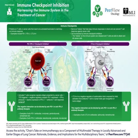 The Evolving Role of Immunotherapy as a Component of Multimodal Therapy ...