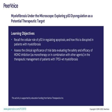 Myelofibrosis Under the Microscope: Exploring p53 Dysregulation as a Potential Therapeutic Target