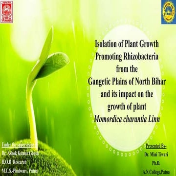 Indo-Gangetic Bacterial Biofertilizer