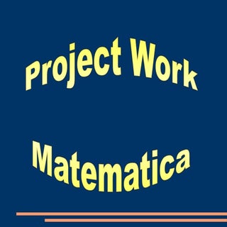 PROJECT WORK Integrali definiti