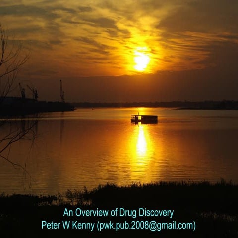 An overview of drug discovery