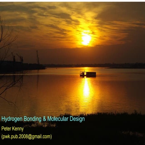 Hydrogen bonding and molecular design (EuroQSAR 2010)