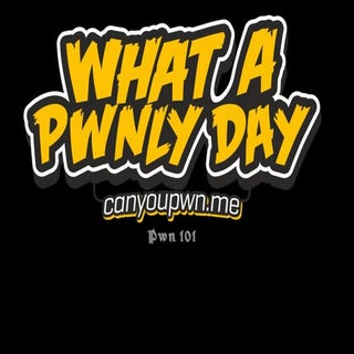 Web Application Security