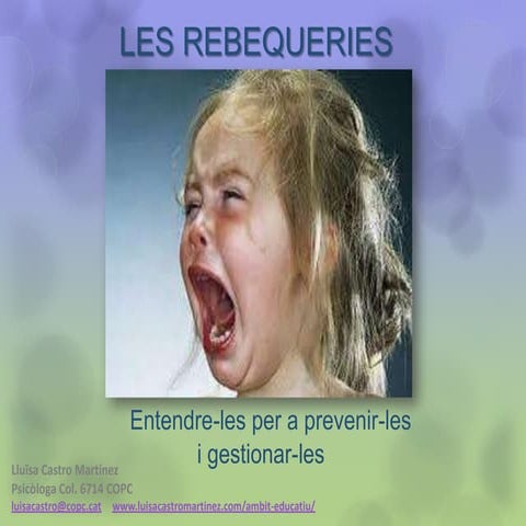 Rebequeries