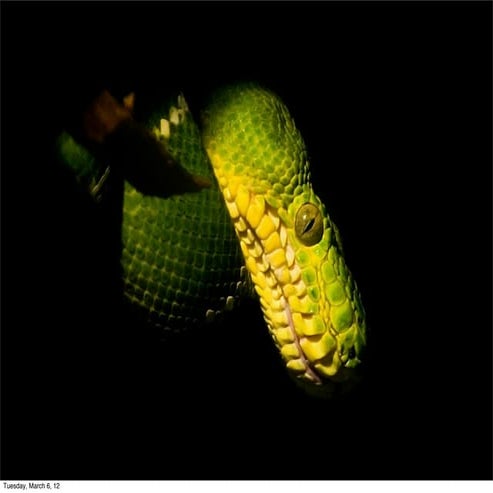 Програмиране с Python 2012, лекция 0 | PPT