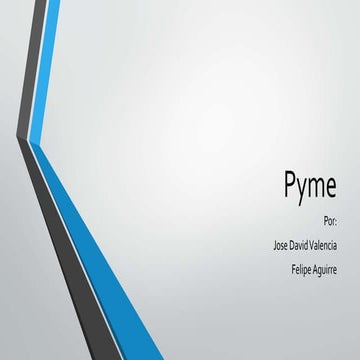 Pyme | PDF