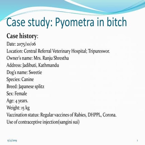 Pyometra in bitch