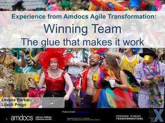 Winning team – the glue - Amdocs Delivery