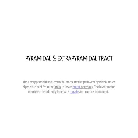 Extrapyramidal system by Dr. Sunita M. Tiwale, Prof in Physiology,D. Y ...