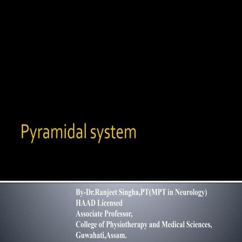 Pyramidal system